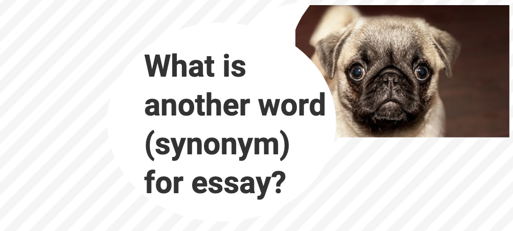 What is another word (synonym) for essay